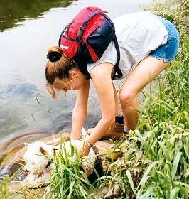 Ellie dunks her dog Lizzie