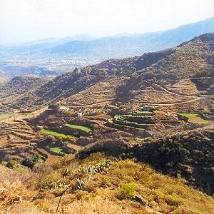 Terraces in the mountains of the island's interior.