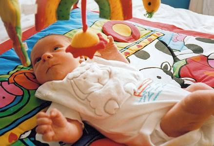 Rafferty on his playgym, aged five weeks.